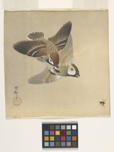 Vrabci honí létající hmyz (inkoust a barva na hedvábí) od Ohara Koson