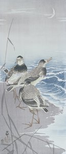 Tři jespáci u vody před rákosím (barevný dřevotisk) od Ohara Koson