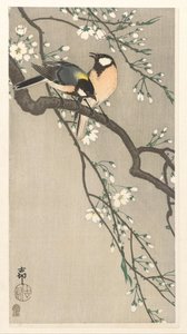 Prsa na Cherry Branch od Ohara Koson