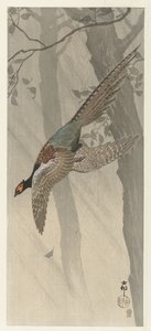 létající bažant od Ohara Koson