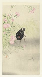 Moorhen na kvetoucí rostlinu od Ohara Koson