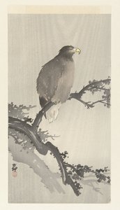 Orel bělohlavý na větvi od Ohara Koson