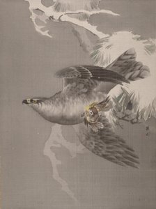 Hawk Holding a Small Bird, ca. 1891-92. od Okada Baison