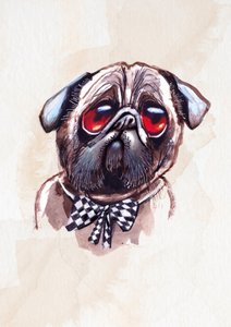 Melancholický mops