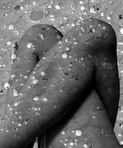 Nohy mušle, 2019 (digitální kombinovaná technika) od Olivia Gozzano