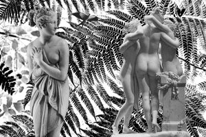 Socha con 2019 (digitální kombinovaná technika) od Olivia Gozzano