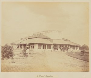 Planterův bungalov
