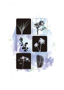 Botanické siluety v akvarelu od Osvaldo Russo