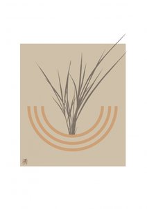 Minimalistický botanický oblouk