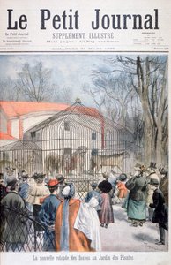 Nový dům divoké kočky v Jardin des Plantes, Paříž, 1895 od Oswaldo Tofani