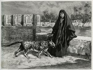 Torkan Khanoum, oblíbenec šejka Mojžíše, mocný kmenový vůdce Arabistánu se svým panterem. Rytina Tofani pro ilustraci příběhu „Persie, Chaldee a Susiane“ od Oswaldo Tofani
