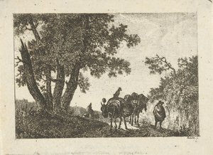Krajina s osly a cestovateli od Otto Baron Howen