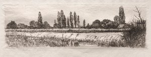 Kukuřičné pole, 1879.