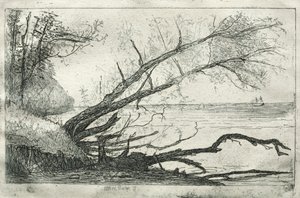 Old Sycamore, 1877. od Otto H. Bacher