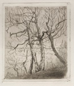 Woods by the Lake, 1878.