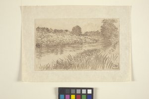 O Bronxu