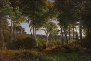 Delhoved Wood poblíž jezera Skarre, Zéland. Odpolední světlo od P.C. Skovgaard