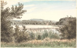 Hundesøen na Møen. od P.C. Skovgaard
