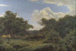 Duby v Nordskoven poblíž Jægerspris, Zéland od P.C. Skovgaard