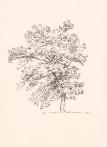 Dřevo ve Fredensborgu od P.C. Skovgaard