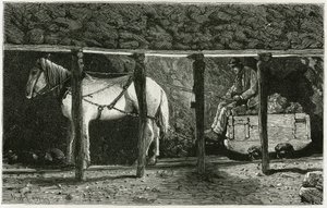 Interiér galerie s berlainem. Rytina od Ferata, k ilustraci příběhu „“Belgie“, od Camille Lemonnier (1844-1913), belgická spisovatelka. Publikováno v Le Tour du monde, nouveau journal des voyages, 2. semestr 1884, editoval Edouard Charton (1807-1 od P. Ferat