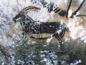 Koza nebo kamzík, skalní malba v Černém pokoji, magdalénština (jeskynní malba)