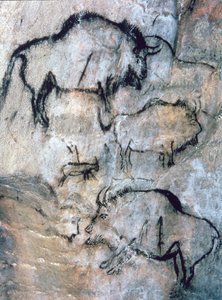 Zraněný bizon, magdalénien (jeskynní malba)