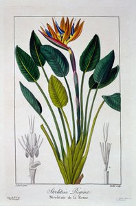 Rájka aneb Květ jeřábu, hospoda. 1836.