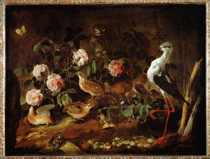 Zátiší se sovou a ibisem - Nature morte avec une chouette et un ibis ...