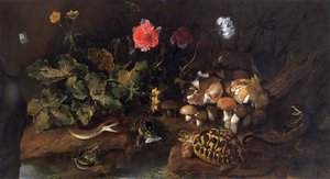 „Zátiší s hadem, žábami, želvou a ještěrkou“, 1656-1673