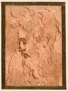 Mužská hlava od Parmigianino