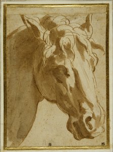 Hlava a krk koně (pero a hnědý inkoust s mytím na krémovém papíře) od Parmigianino