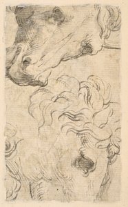 Dvě studie hlav koní (fragment) (verso) od Parmigianino