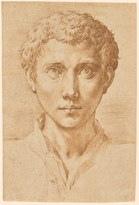 Hlava mladého muže od Parmigianino