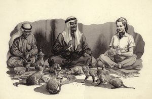 Ein arabischer Mann füttert seine Katzen von Pat (1907-95) Nicolle
