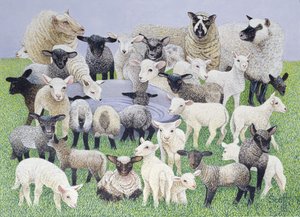 Feeling Sheepish (olej na plátně)