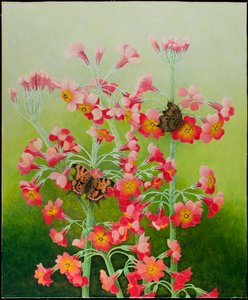 In the Pink, 2011 (akryl na kaliku)