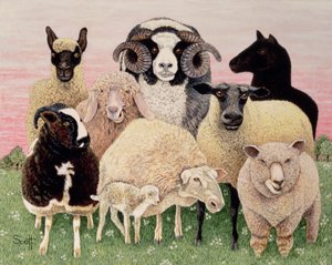 Shepherds Delight od Pat Scott
