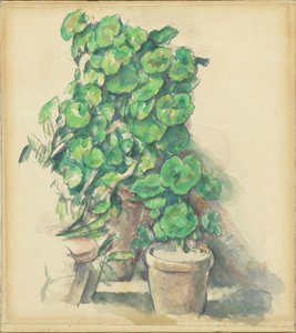  od Paul Cézanne