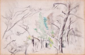 Stromy [recto]; Encagnane s Pilon du Roi [zpět] od Paul Cézanne