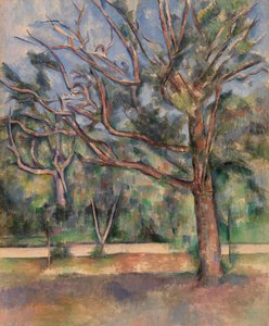 Stromy a silnice (Arbres et route) od Paul Cézanne