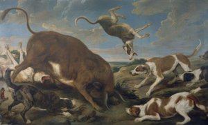 TORO ATACADO POR PERROS - SIGLO XVII - LIENZO 210 × 346 cm - BARROCO FLAMENCO