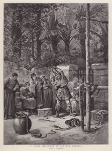 Obchodník s hady ve Střední Americe (litho) od Paul Frenzeny