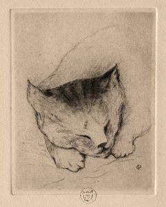 Šest leptů: Hlava kotěte, 1895.