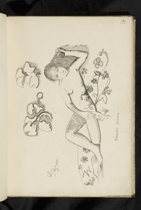 Před a po - kresba "Dekorativní osoba" od Paul Gauguin