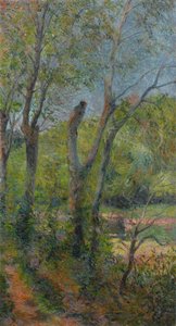 Francouzština:  Les Saules Willows od Paul Gauguin