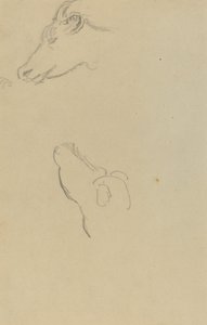 Hlava krávy [recto] od Paul Gauguin