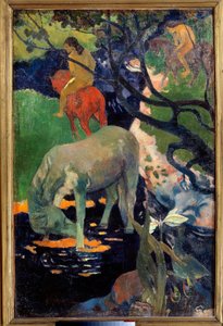 Le cheval blanc Obraz Paula Gauguina (1848-1903) 1898 Sun. 1,4x0,91 m Paříž, musee d