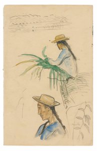 Náčrtky figurek, list Pandanus a rostlina vanilky od Paul Gauguin