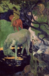 Bílý kůň, 1898